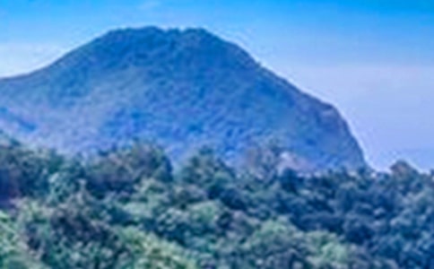 ��ɽ����500�ֽ�����ƪ