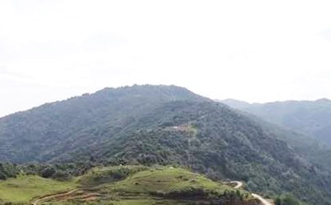 ��ɽ����500��8ƪ�����㣩