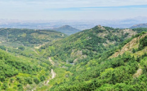 ��ɽ����500��5ƪ[��]