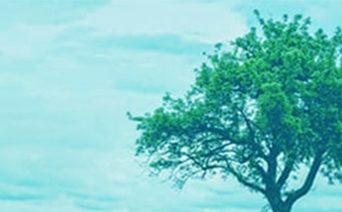 ��������400��