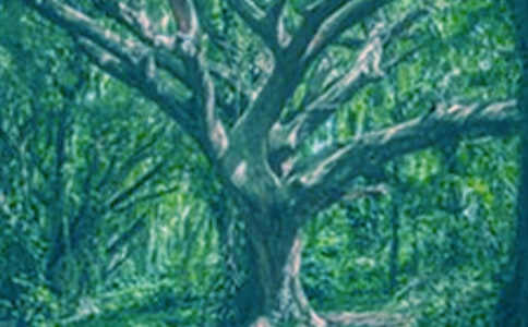 �������꼶����