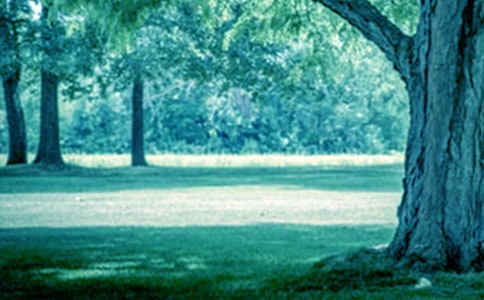 �Դ���Ϊ����ĳ�������