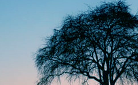 �����š���������300��3ƪ