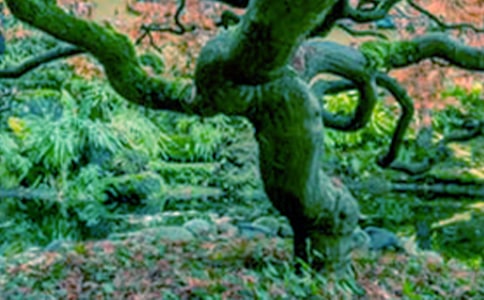 ���ر�������������300��4ƪ