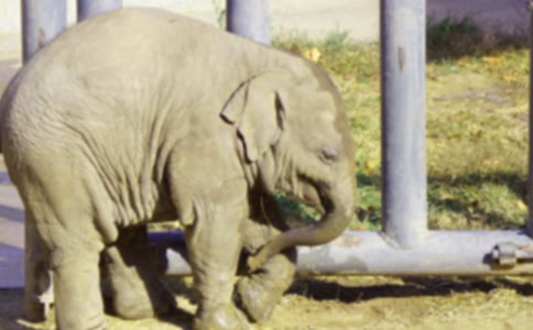 ��������400��