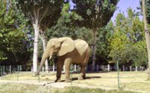 ����԰���ĺϼ�5ƪ