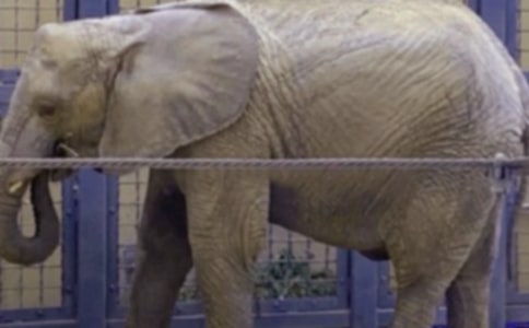 ������������԰����3ƪ