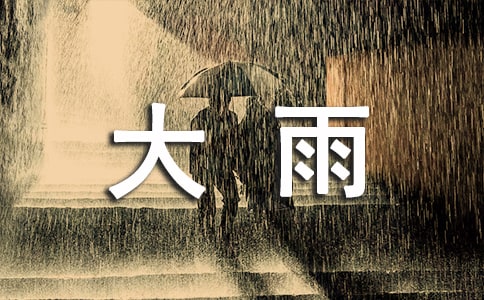 【热门】大雨作文300字六篇