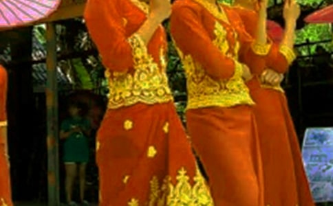 ��ѡ��������300��4ƪ