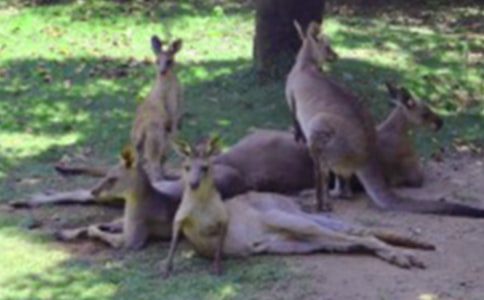 ��������300��4ƪ