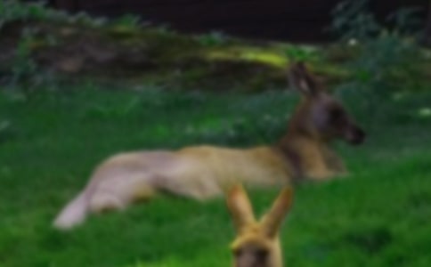 ��ѡ��������400��8ƪ