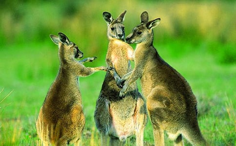 ʵ�õĴ�������300��