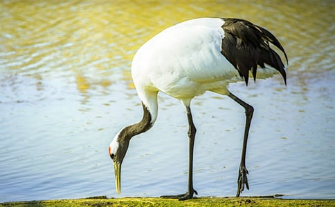 ����������600��