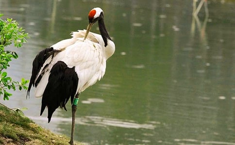 ����������300�ְ�ƪ