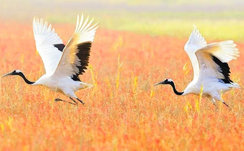 ����ѡ������������300����ƪ