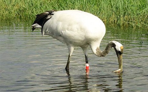 ����������600�ֺϼ���ƪ