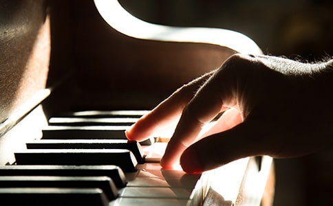 我爱弹琴小学作文