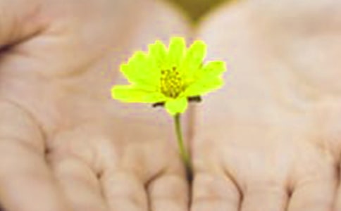 关于道歉的小学作文(精选10篇)