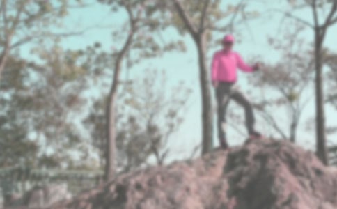 ��ɽ����600��4ƪ��������