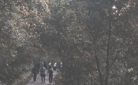 ��ɽСѧ����(����15ƪ)