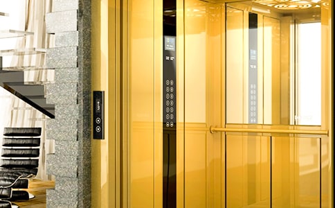 ����Сѧ���Ľ���5ƪ