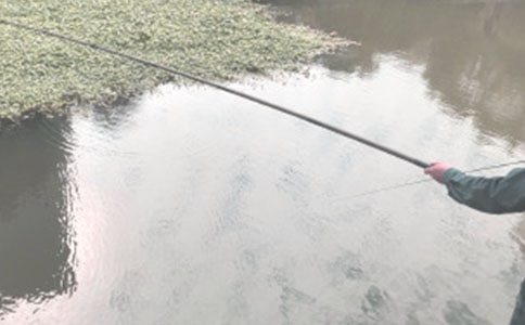 ��д���������600��3ƪ