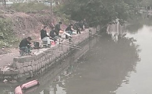 �����ҺͰְ�ȥ�������ģ�ͨ��10ƪ��