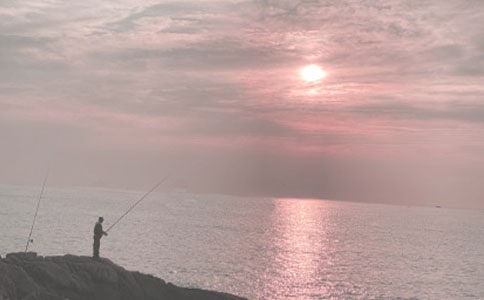 ��ʵ�á����꼶��������300����ƪ