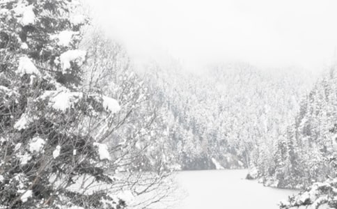 ����������600��