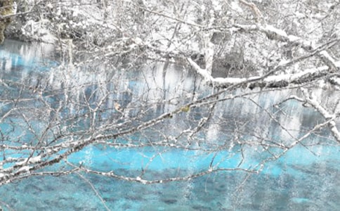 ��ʵ�á���������600��3ƪ