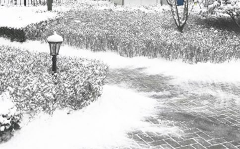 ��ů�Ķ�������600��