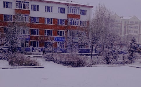 ����ů����������