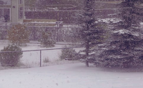 ���ռ������ĳ���[5ƪ]