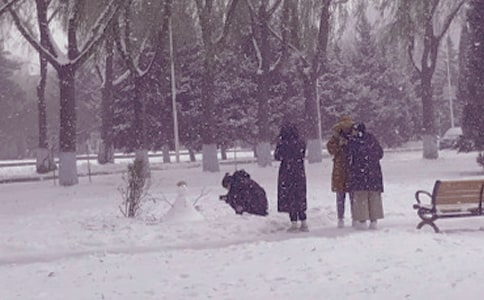 ���ռ������Ĺ�15ƪ