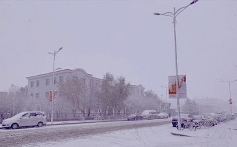 冬日暖阳的作文300字 (精选25篇)