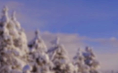 �й����꼶���������300�ּ�����ƪ