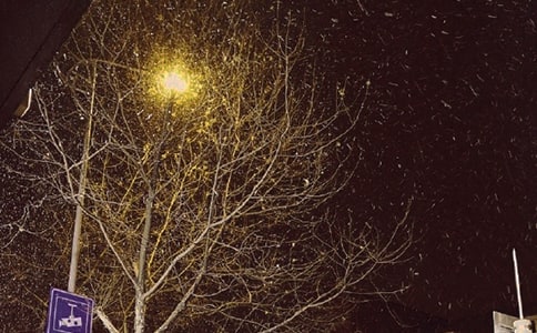 ���꼶���������ʮƪ