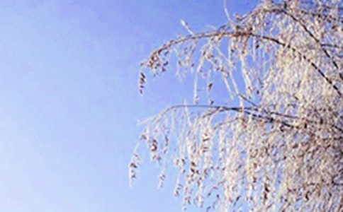 ��ʵ�á�����д������300��8ƪ