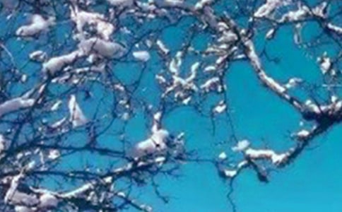 ������������350��