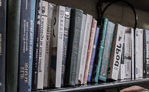 读书会小学生作文(通用10篇)