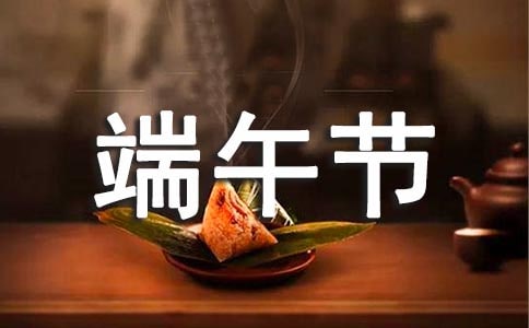 【精华】端午节的作文800字汇总七篇