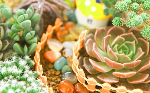 ��������300��