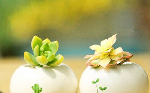 �������꼶����