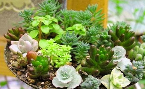 �ҼҵĶ������ģ�ͨ��23ƪ��