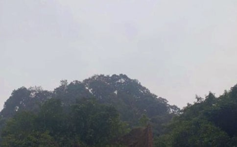 ��üɽ�μ�����