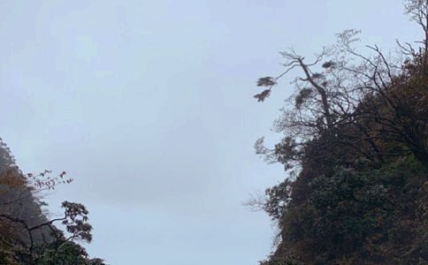 ��üɽ�μ�����(����11ƪ)