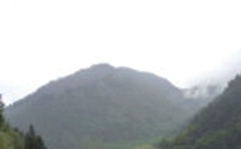 �ζ�üɽ����500�֣�ͨ��20ƪ��