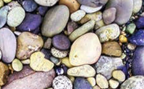 һ�Ŷ���ʯС��������