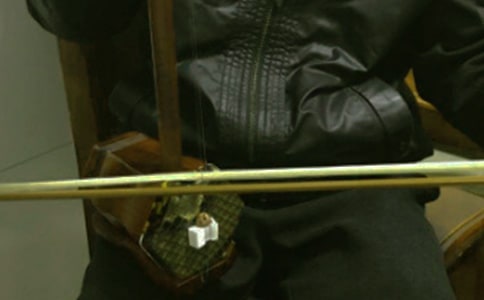 600字写二胡的作文