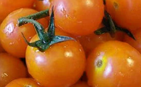 ����Сѧ����